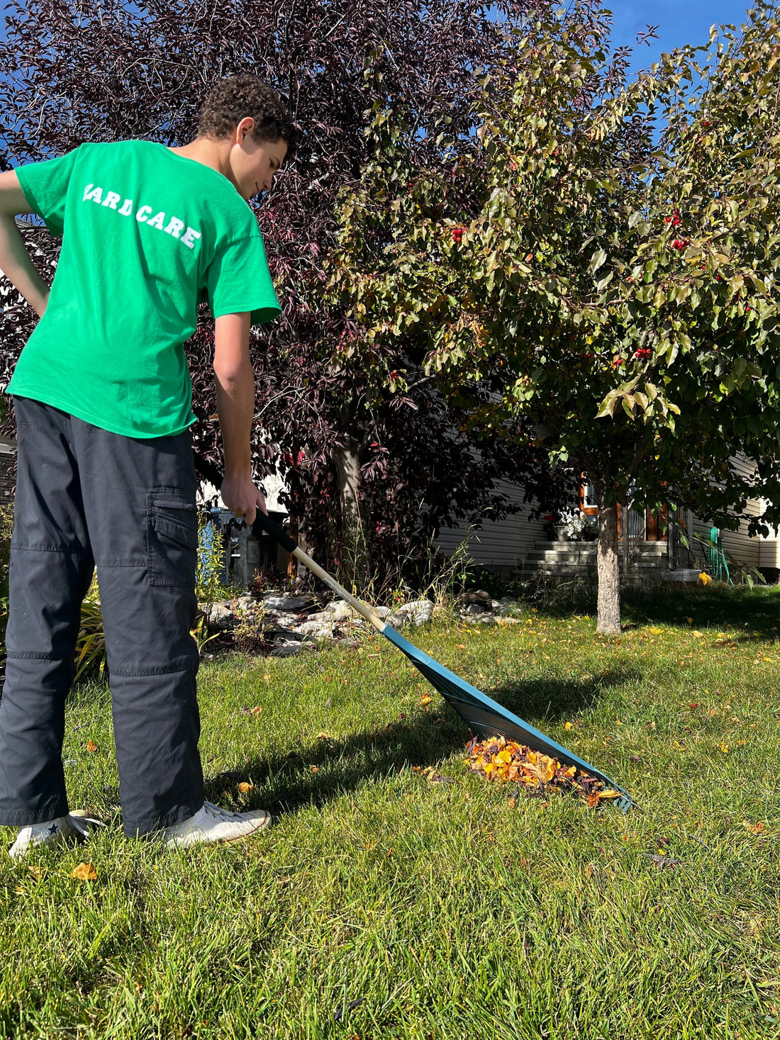 Spring Cleanup in Calgary: Why It’s Essential for a Healthy Lawn