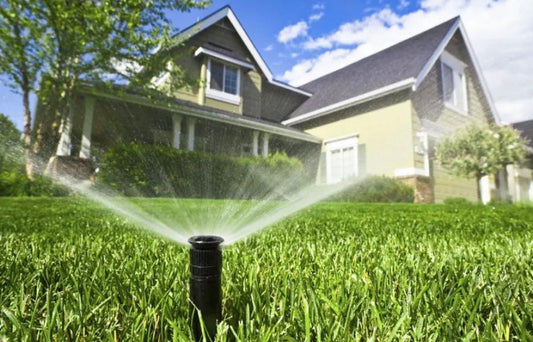 How Often Should I Water My Lawn in Calgary?