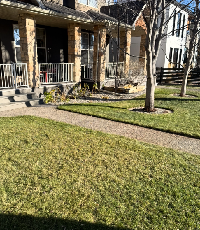Before image